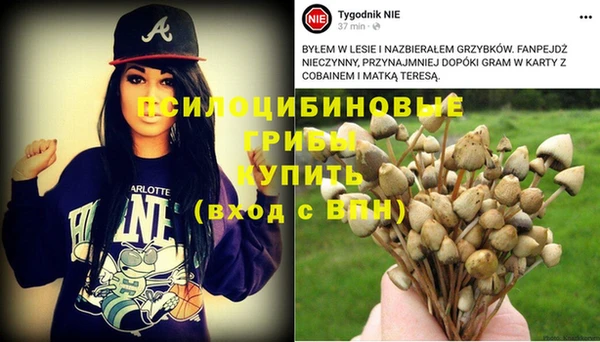 крисы Вяземский