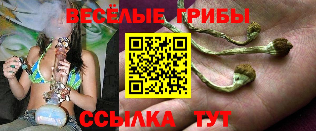 Вязники  Псилоцибиновые грибы Psilocybe  Вход с VPN 